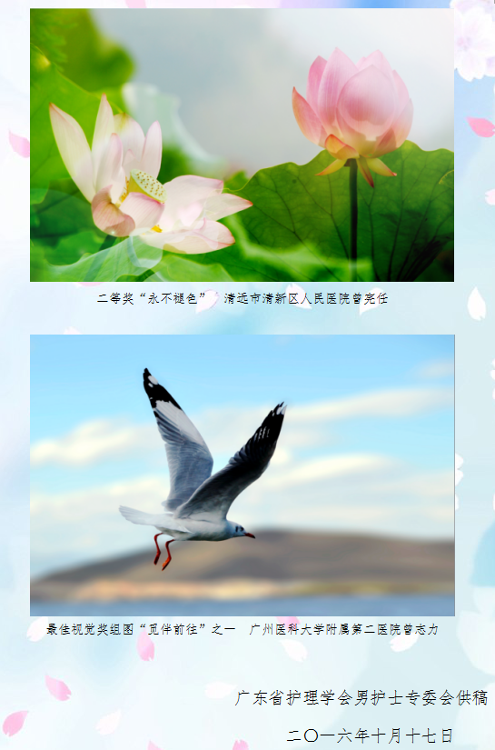 摄影2.png