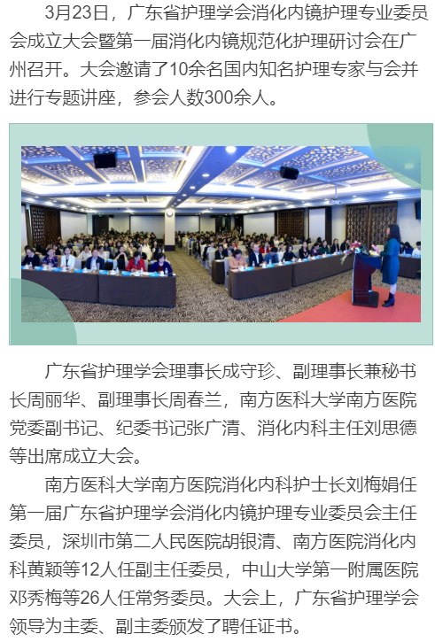 内镜11.png
